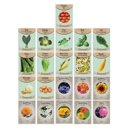 Vegetable, Flower & Herb Seed Set - 21 Varieties of Non-GMO Heirloom Premium Seeds for Planting - Cabbage, Roma Tomato, Peas, Sunflowers, and More