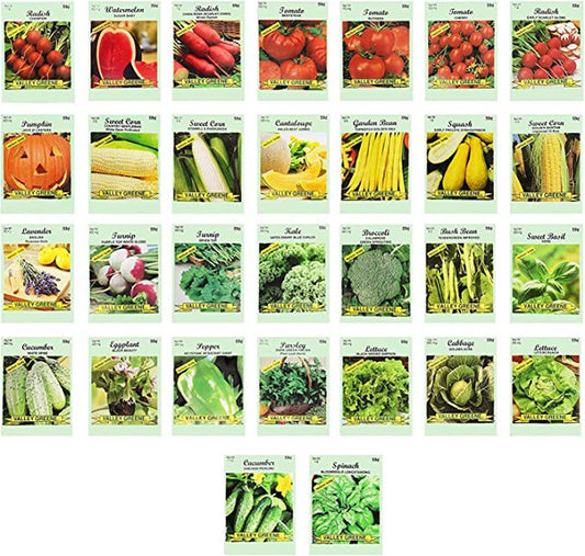 30 Assorted Packages of Vegetable Seeds, 15+ Varieties, All Seeds are Heirloom, 100% Non-GMO