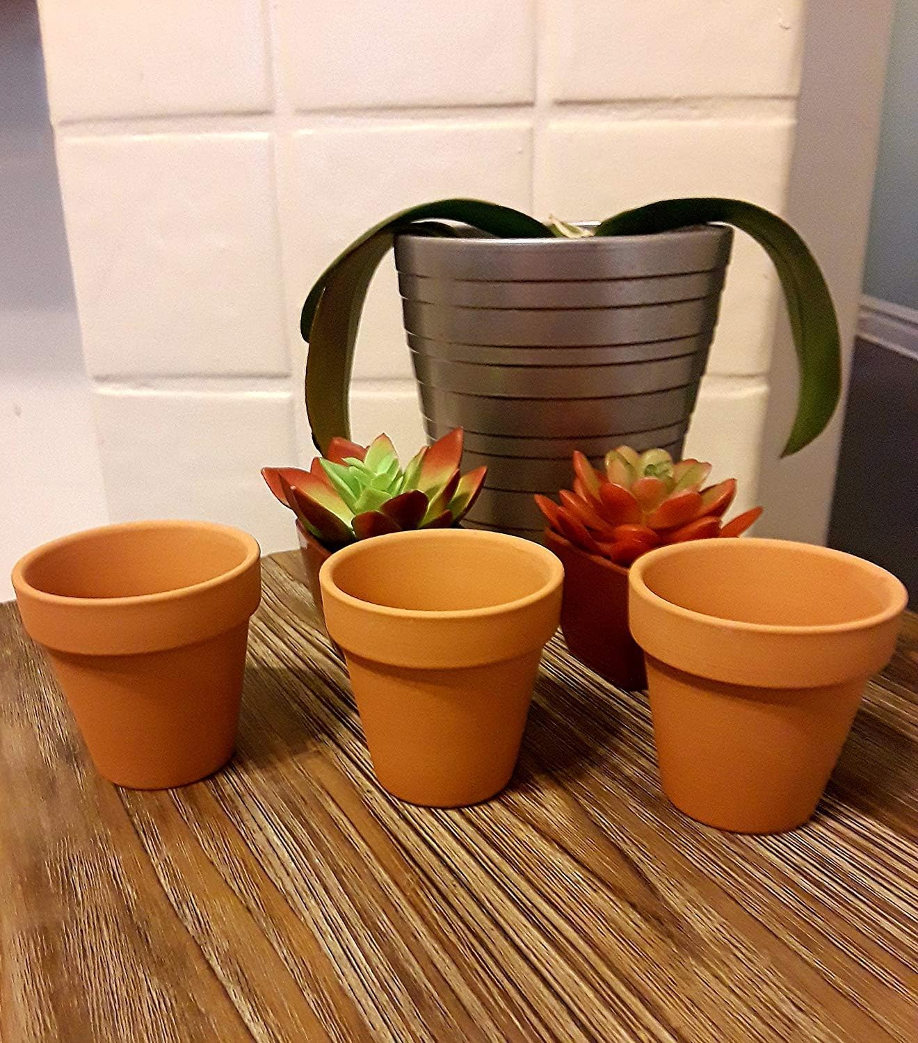 Set of Terra Cotta Pots Measuring - 2.5in x 2.5in - Quality Terra Cotta pots for Germination or Small Plants!