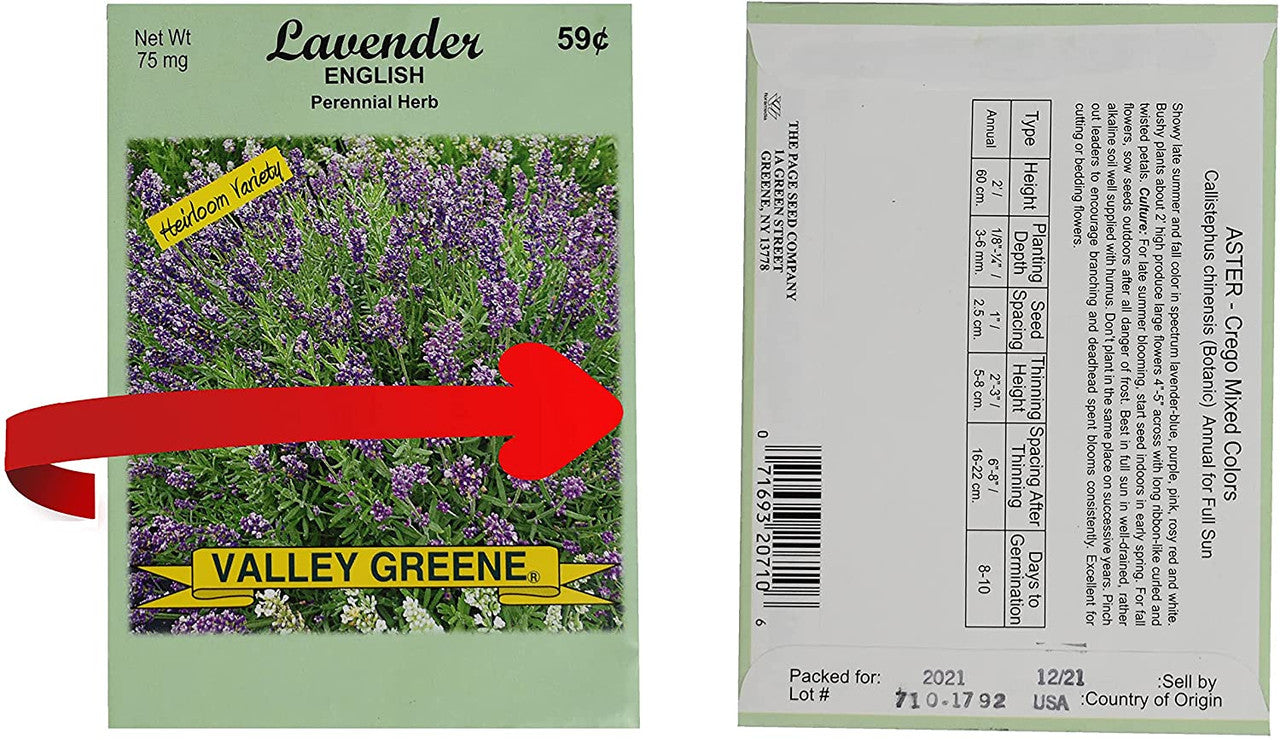 Set of 100 Assorted Valley Green Flower Seed Packets! Flower Seeds in Bulk - 20+ Varieties Included