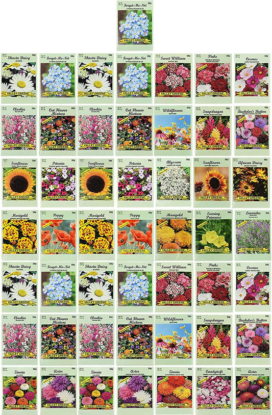 Set of 50 Flower Seed Packets - Flower Seeds in Bulk - 15 or More Varieties Available - Great for Creating Colorful Gardens