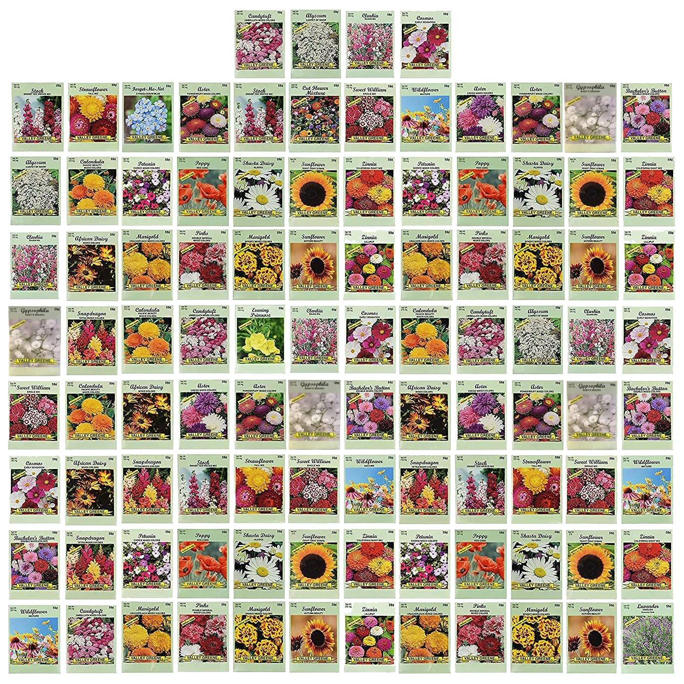 Set of 100 Assorted Valley Green Flower Seed Packets! Flower Seeds in Bulk - 20+ Varieties Included