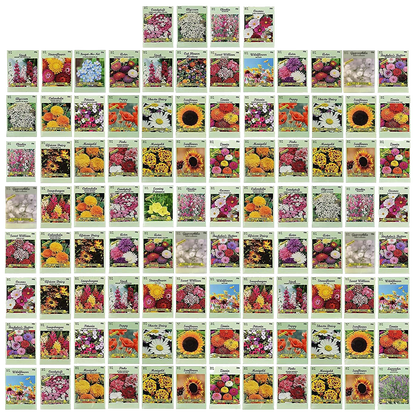 Set of 100 Assorted Valley Green Flower Seed Packets! Flower Seeds in Bulk - 20+ Varieties Included