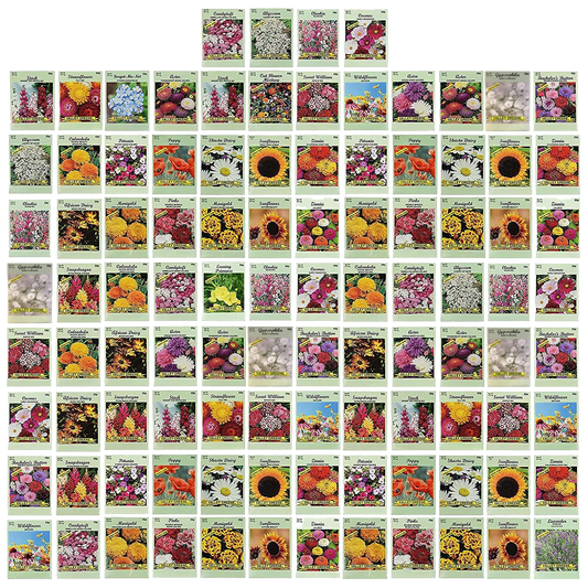 Set of 100 Assorted Valley Green Flower Seed Packets! Flower Seeds in Bulk - 20+ Varieties Included