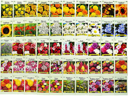 Set of 500 Assorted Valley Green Flower Seed Packets! Flower Seeds in Bulk - 10+ Varieties Included