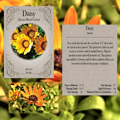 You Pick Flowers - Customize your sets with all the savings! Bulk Sets