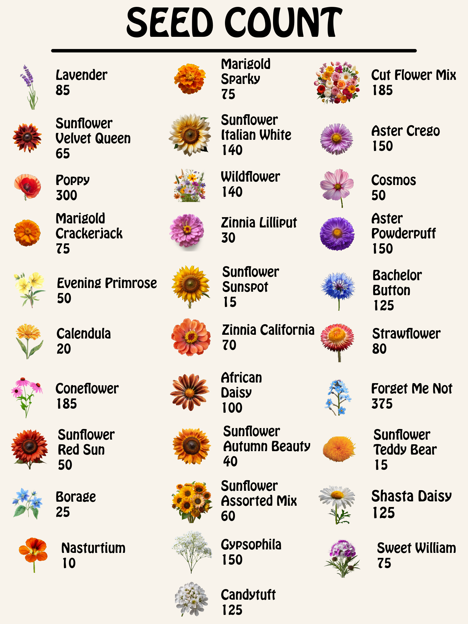 heirloom flower seed Set of 31 Premium Variety Flower Seed Packets