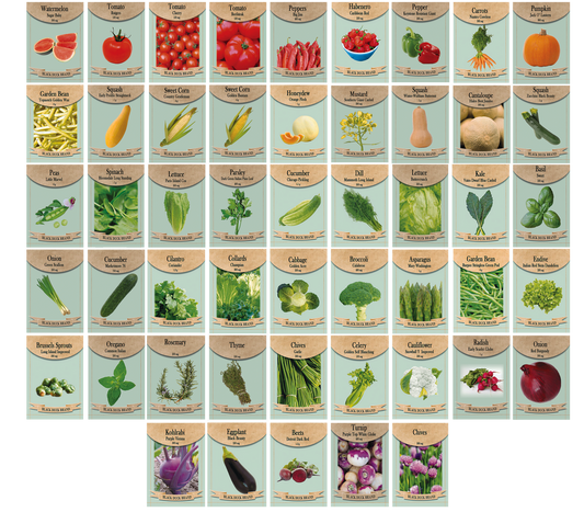 DISCOUNTED 2024 Set of 50 Packs of Assorted Heirloom Vegetable and Herb Seeds – Includes Freedom Farms Vegetable Set Bag - All 100% Non-GMO, Heirloom Seeds