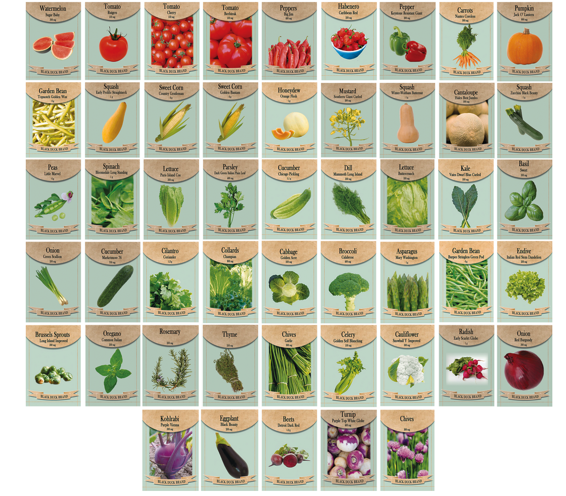 Set of 50 Assorted Vegetable Packets with Beginners Growing Guide & Mylar Storage Bag | Non-GMO | Heirloom