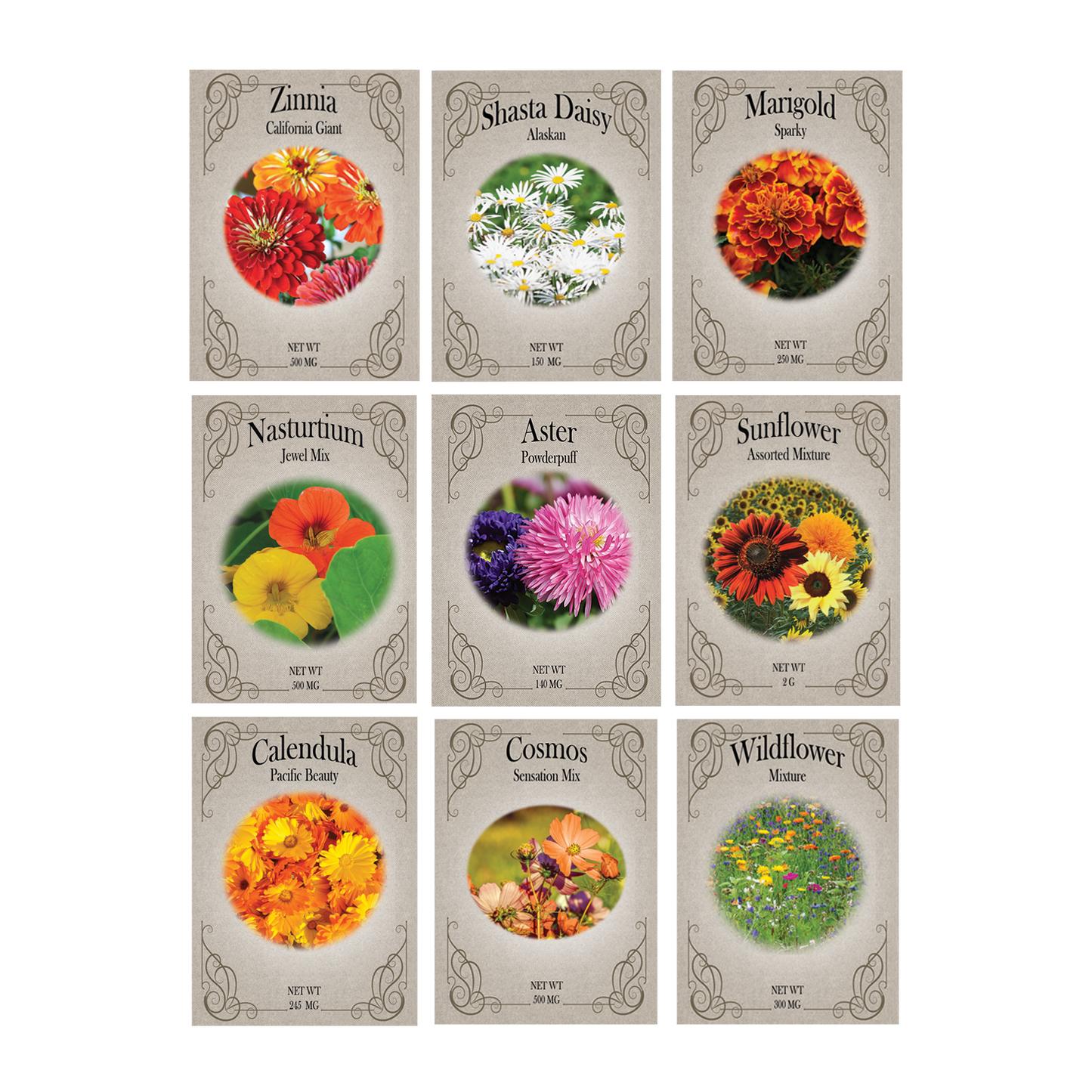 Deluxe Pollinators Garden Starter Kit - Includes: Seeds, Peat Pots, Netted Coir Pellets, and a Beginners Guide - Great for Beginners - Heirloom, NON-GMO