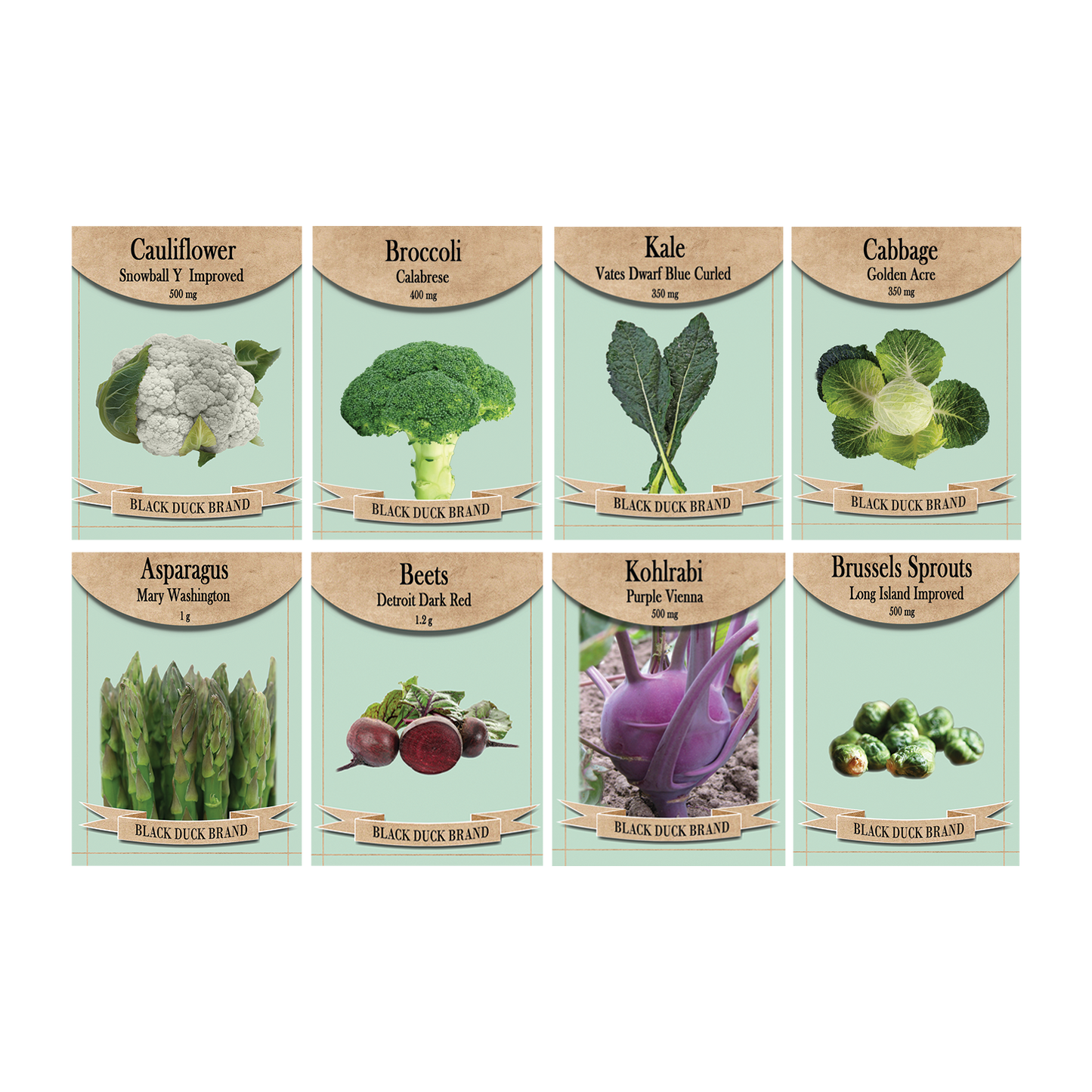 Deluxe Superfood Garden Starter Kit - Includes: Seeds, Peat Pots, Netted Coir Pellets, and a Beginners Guide - Great for Beginners - Heirloom, NON-GMO