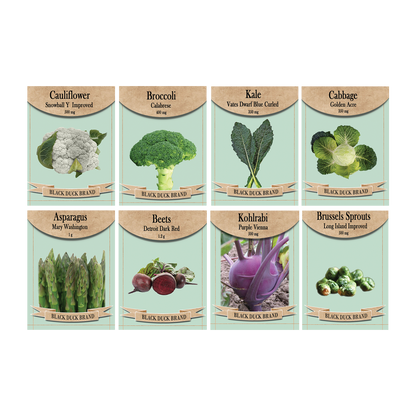 Deluxe Superfood Garden Starter Kit - Includes: Seeds, Peat Pots, Netted Coir Pellets, and a Beginners Guide - Great for Beginners - Heirloom, NON-GMO