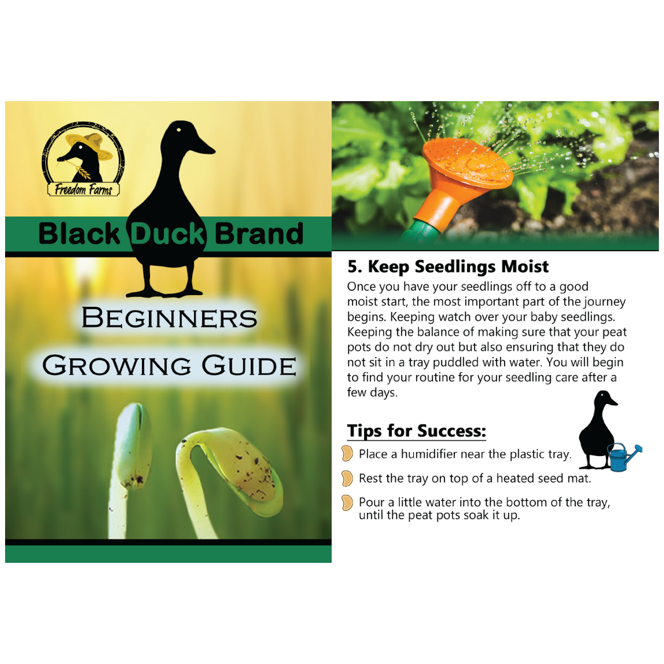 Deluxe Salad Garden Starter Kit - Includes: Seeds, Peat Pots, Netted Coir Pellets, and a Beginners Guide - Great for Beginners- Heirloom, Non-GMO