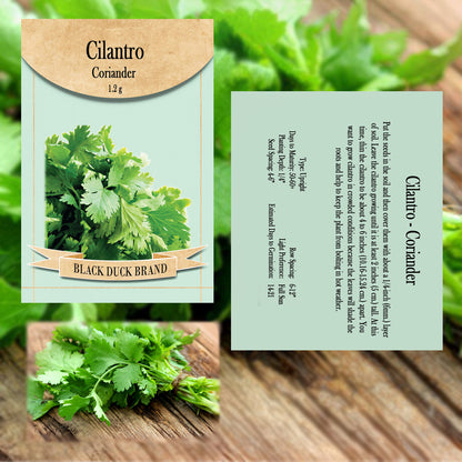 bulk coriander seeds for planting 2025 You Pick Herbs