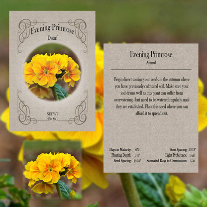 You Pick Flowers - Customize your sets with all the savings! Bulk Sets