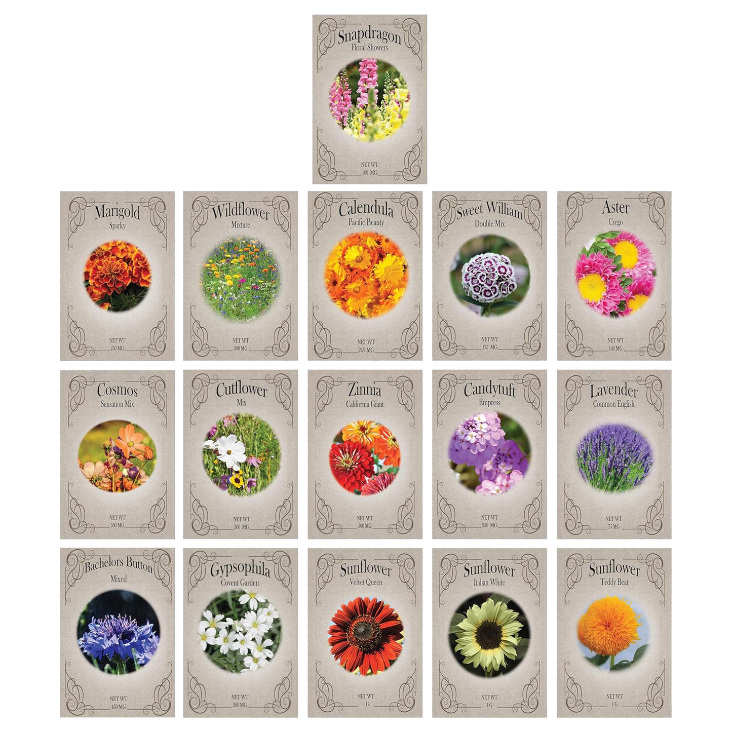 Set of 16 Heirloom Flower Seeds - Non-GMO - 16 Varieties - Assorted Flower Seeds - Individually Sealed Packs