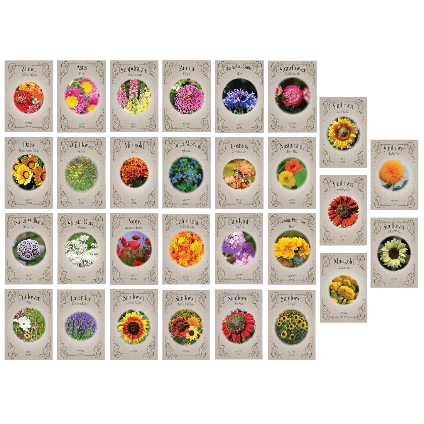 Set of 29 Premium Variety Flower Seed Packets - Heirloom Non-GMO and Proudly Sourced in The USA