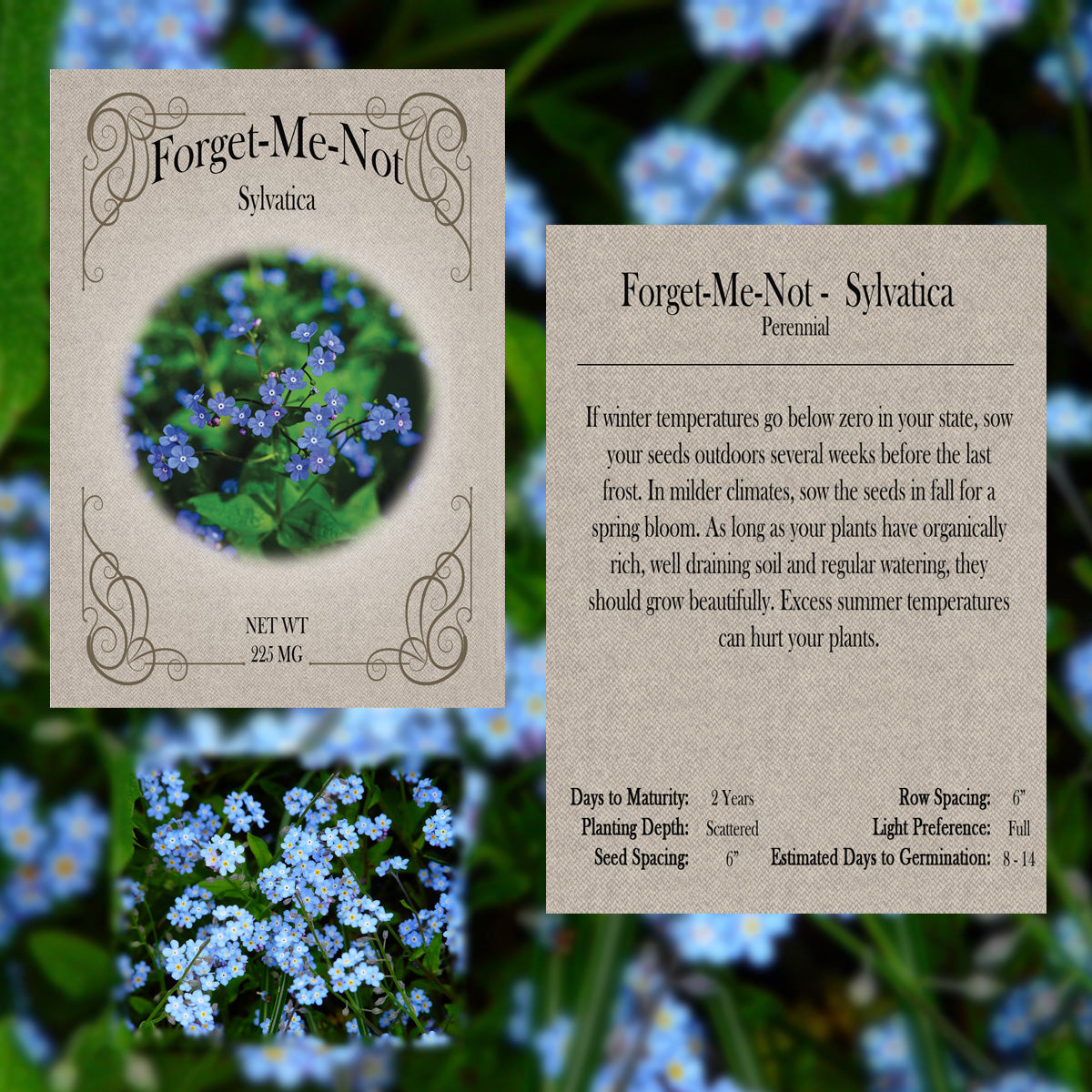 You Pick Flowers - Customize your sets with all the savings! Bulk Sets