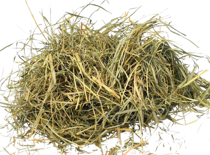 Orchard Grass & Clover Mix - All Natural Pet Hay - Chemical Free - For Rabbits, Rats, Hamsters, and Other Small Animals - Premium Cuttings