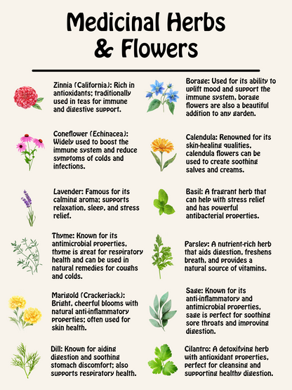 Medicinal Herb and Flower Set - 12 Varieties of Non-GMO and Heirloom Flowers and Herbs - Basil, Cilantro, Calendula, Lavender, Sage, and More