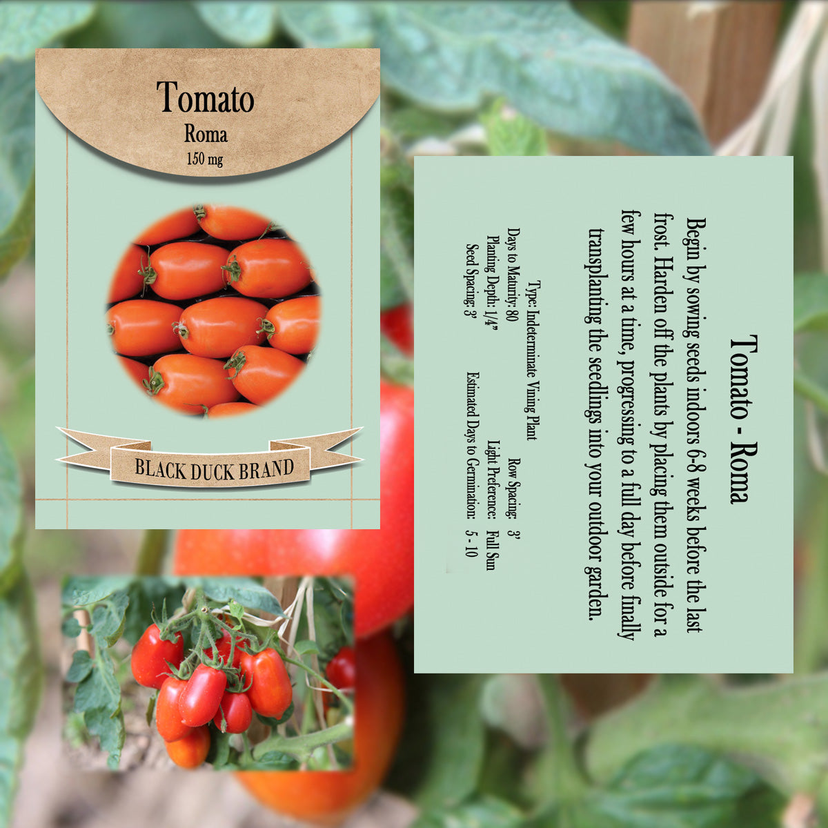 2027 You - Pick Tomatoes
