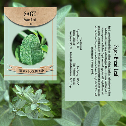 Medicinal Herb and Flower Set - 12 Varieties of Non-GMO and Heirloom Flowers and Herbs - Basil, Cilantro, Calendula, Lavender, Sage, and More