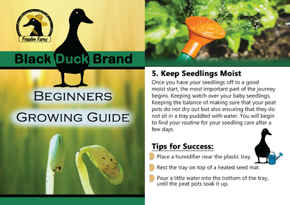 Set of 50 Assorted Vegetable Packets with Beginners Growing Guide | Non-GMO | Heirloom