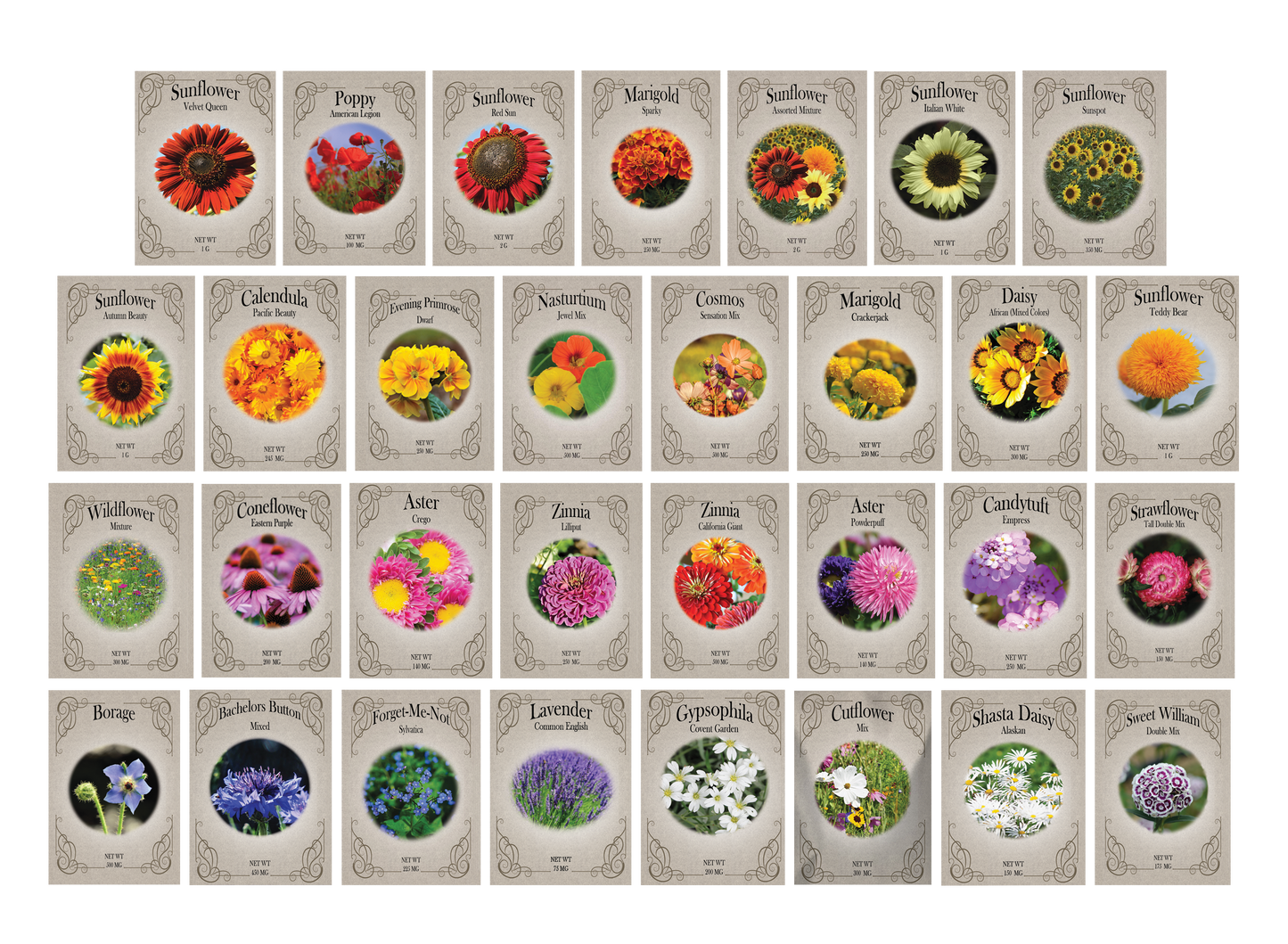 Set of 31 Premium Variety Flower Seed Packets - Heirloom Non-GMO and Proudly Sourced in The USA