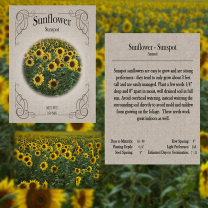 sunflower seeds for planting in bulk 2026 You Pick Flowers